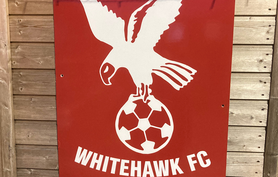 Hawks announce a Sutton duo
