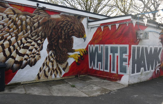 Krokhin makes a Whitehawk move