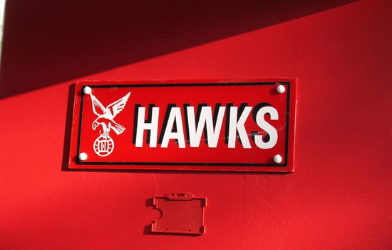 Robinson and Kayani return to the Hawks