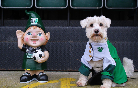 Pitching In Isthmian Supporters Predictions 26-27: Cray Valley PM