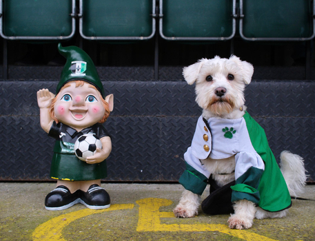 Pitching In Isthmian Supporters Predictions 26-27: Cray Valley PM