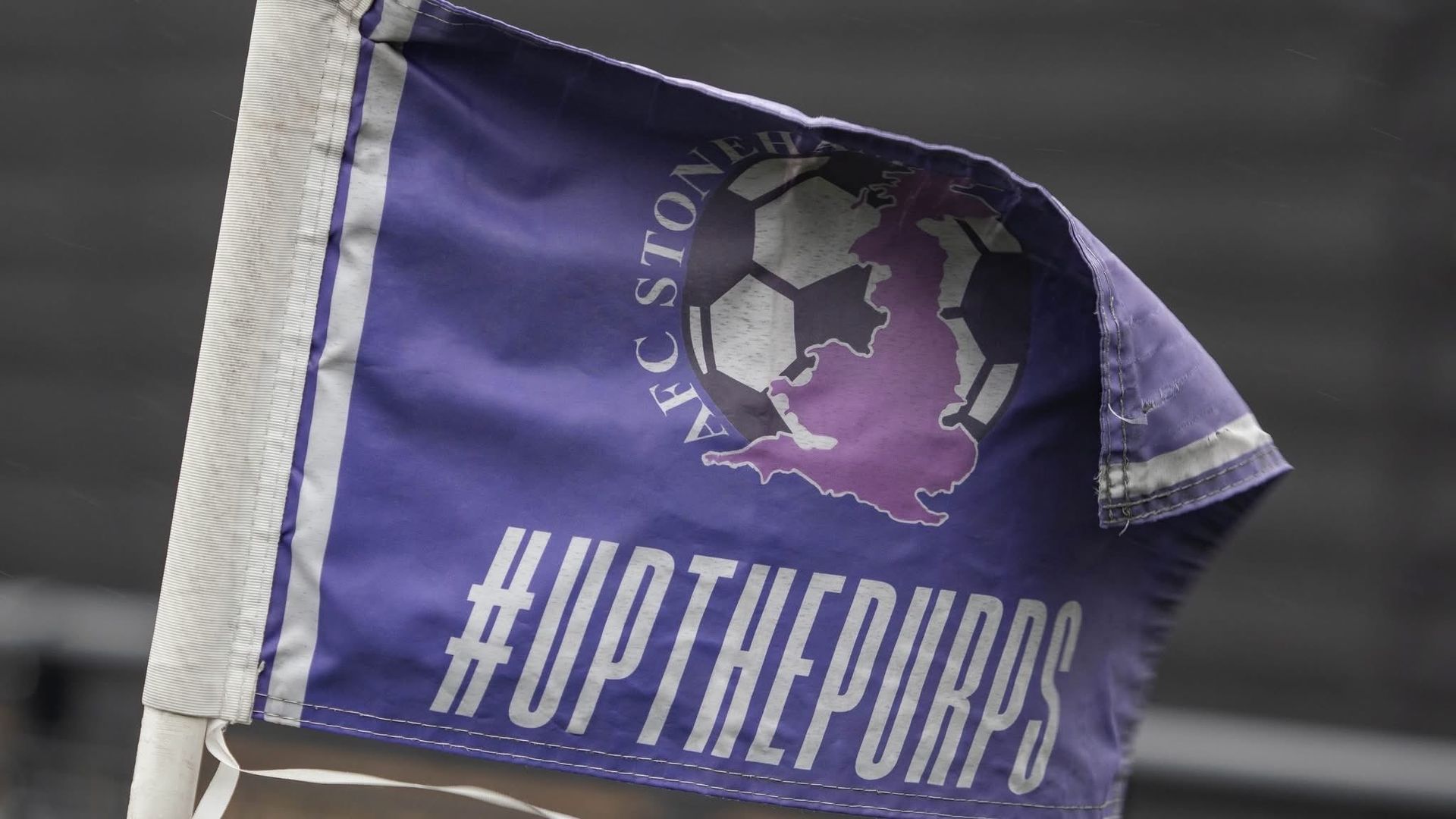 Carroll and Hide go purple