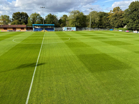 Pitching In Isthmian Supporters Predictions 26-27: Takeley
