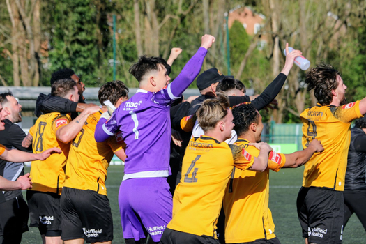 Pitching In Isthmian South East Supporters Predictions 26-27— Final Table