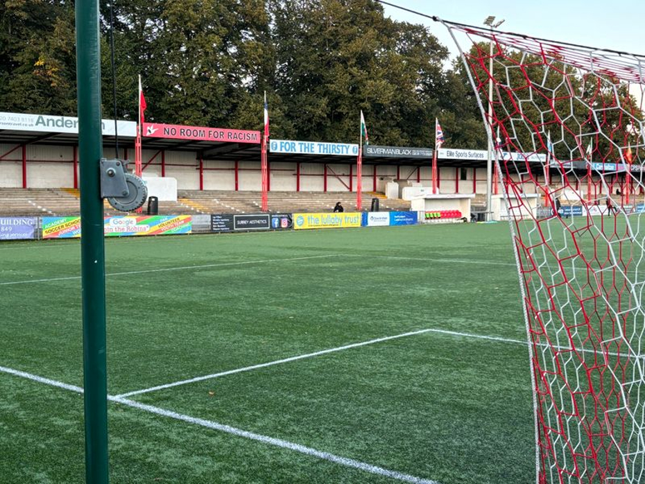 A quartet of new Robins