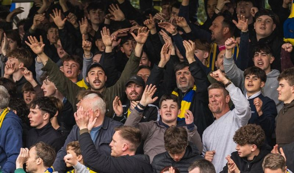 Pitching In Isthmian Supporters Predictions 25-26: St Albans City
